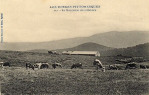 Carte Postale illustrant la Marcairie du Hohneck